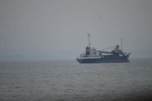 運航船舶イメージ画像